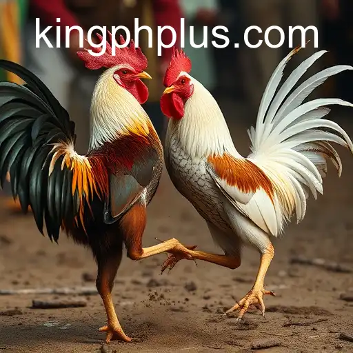 Gaming Experience kingph - 800+ Premium and Exclusive Games